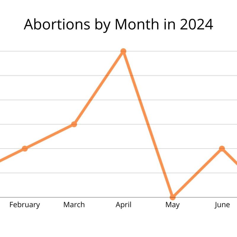 Amended records show 14 Kentuckians have had abortions so far this&nbsp;year