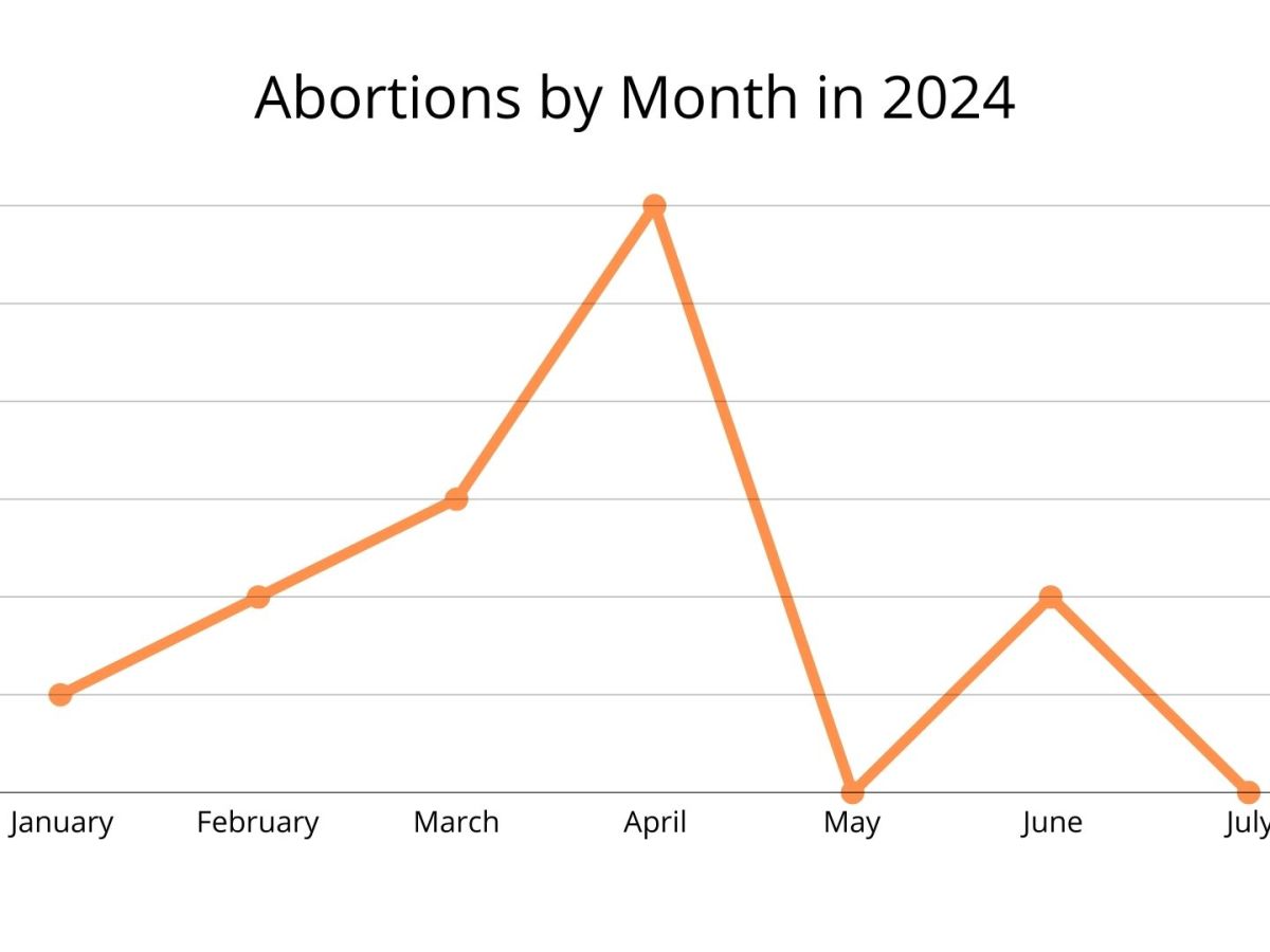 Amended records show 14 Kentuckians have had abortions so far this&nbsp;year